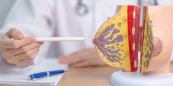 Ανατομία μαστού